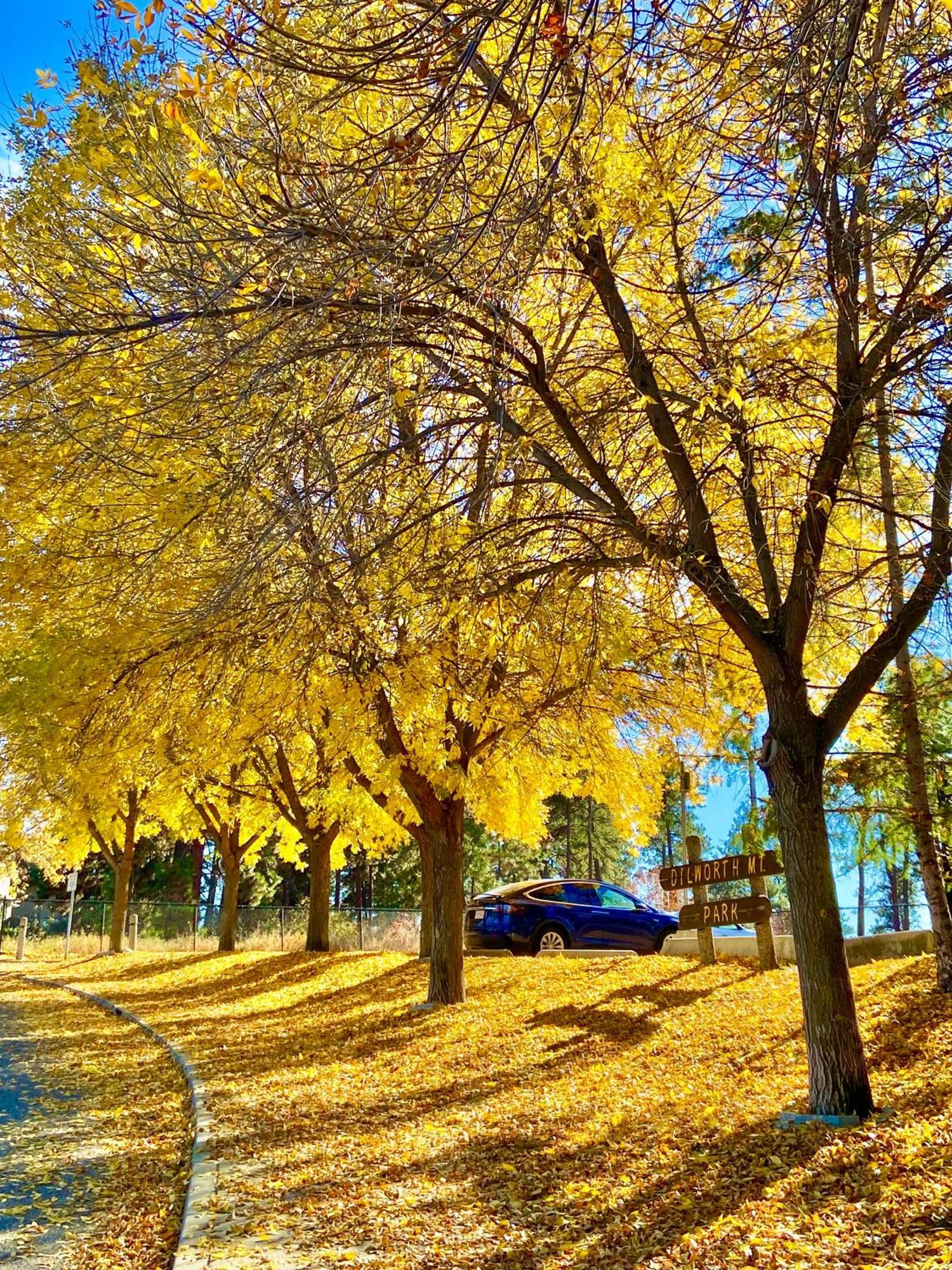 Kelowfornia Lakeview Retreat Kelowna Luaran gambar